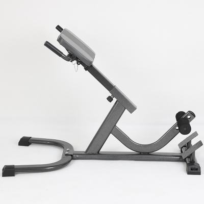 China Home Office Gym Hot Sale Gym Use And Home Use Back Extension Commercial Roman Chair Bench for sale