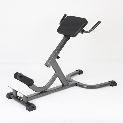 China Home Office Gym Novelty Style Home Workout Slope Waist Back Extension Roman Chair for sale