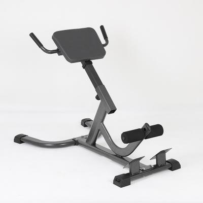 China High Quality Home Office Gym Workout Slope Waist Back Extension Roman Chair For Home for sale