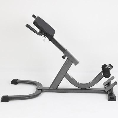 China High Quality Commercial Home Office Gym Fitness Equipment Back Extension Roman Chair for sale