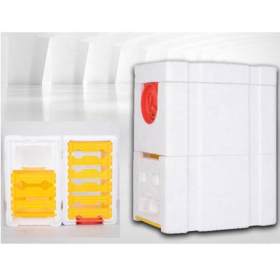 China New Style Queen Box Beekeeping Brood Box Foam Nuc Queen Box Mating Mating Box for sale