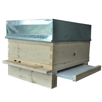 China Top Grade Pine No Knots Beekeeping Bee Hive Base Board Different Styles Customized Beehive Wood Base Board for sale