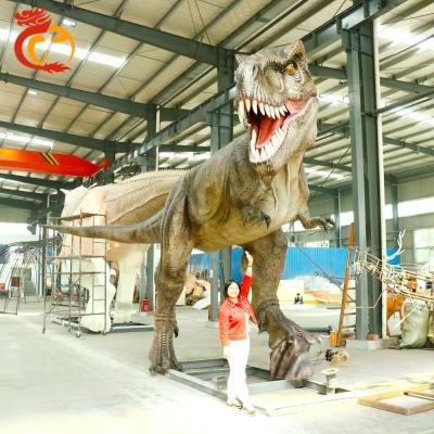 China Authentic T-rex Life Size Statue Model Large Amusement Park Dinosaur Size Dinosaur Model For Sale for sale