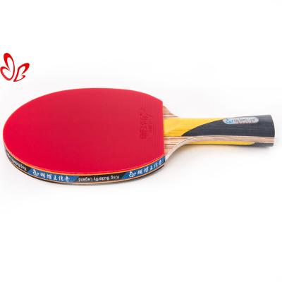 China Trianing Ping Pong Rackets Paddle Set Hot Sale Best Price Goods Wooden Ping Pong Ping Pong Set for sale