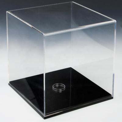 China display & High Quality Customized Gift Plexiglass Helmet Display Case for sale