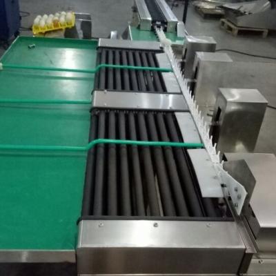 China 2021 Egg Processing Industries 304 Stainless Steel Egg Sorter Machine for sale