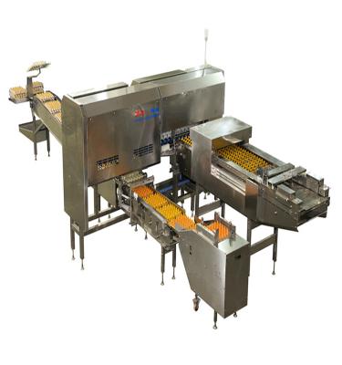 China High Food Production Capacity Automatic Egg Packing Machine for sale