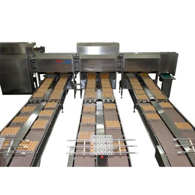 China Food cleaning and automatic packing machine 25000-30000 pcs/h for sale