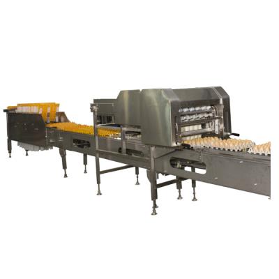 China Farm egg packing machine Mintai egg farmpacker machine for sale