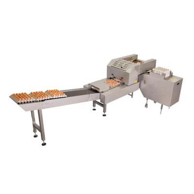 China Food factory vending egg farmpacker machine for sale