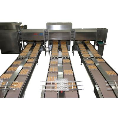 China Poutry Farm or Egg Processing Industry Best Selling Egg Packing Packing Equipment for Poultry Farm or Egg Processing for sale