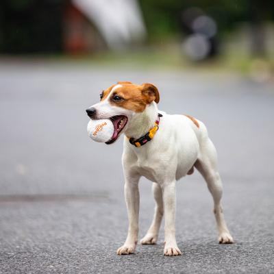 China Durable Super Strong TPU Ball Most Indestructible Dog Toys For Aggressive Chewers Buoyant In Water Dog Ball for sale