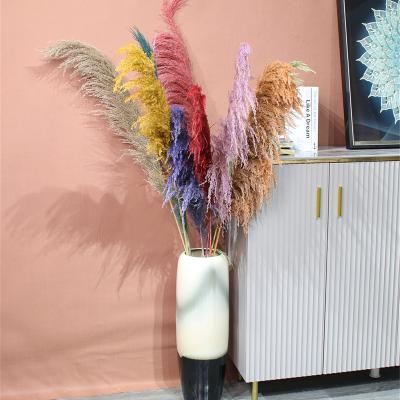 China Natural Touch Wholesale Wedding Party Decoration Natural Dried Flowers And Plants Pampas customizable for sale