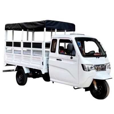 China 800W Semi-Cabin Motorized Cargo Tricycle with Enclosed Cabin and Plastic Cargo Cover for sale