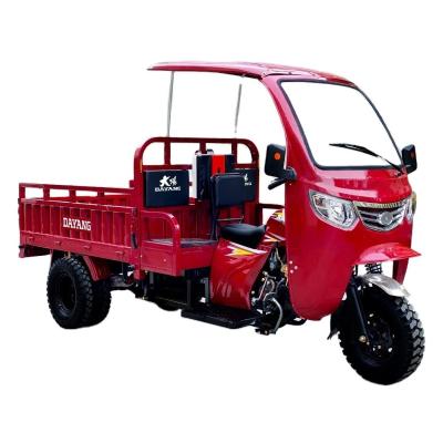 China Cabin DAYANG Motorized Adult Passenger Cargo Tricycle 3 Wheel Bike Taxi Tuk Tuk Cart for sale