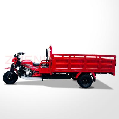 China 12V Voltage Cargo Adult Tricycle Motorized Three Wheel Cargo Motorcycle With Cargo Roof for sale