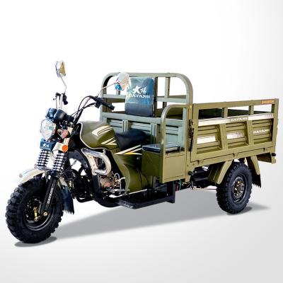 China 50*100 Chassis 3 Wheel Electric Tricycle Motorcycle in Philippines with Passenger Seat for sale