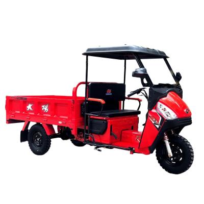 China 3 Wheel Bicycle Motorized Trike Cargo Tricycle with 5 Rear Spring Leafs and 40*60 Chassis for sale