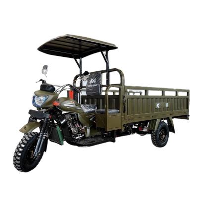 China 12V DAYANG 2021 Tricycles For Passengers Model motorized Tricycle Taxi With And Engine for sale