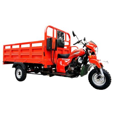 China 800W Motor DAYANG 3 Wheel Trike E Rickshaw voor zwaar vrachtvervoer in Myanmar Te koop