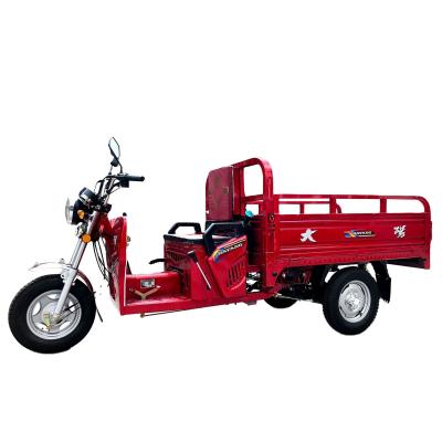 Chine Corps personnalisé 800W Charge légère Trois roues cargo Motocycle Tricycle Trike Vélo pour adulte à vendre