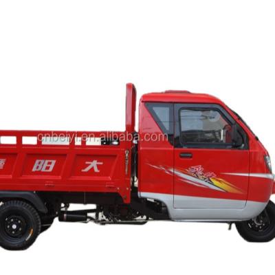 China Enclosed Electric CARGO Three Wheel Motorcycle Trike Bike for Customer Requirements for sale