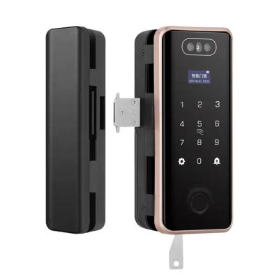 China Office Security Aluminum Sliding Lock Door Smart Fingerprint Face Recognition Glass Frameless Door Lock OEM/ODM for sale