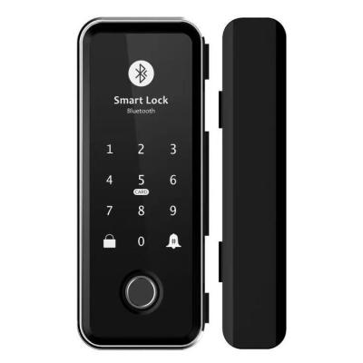 China Smart 3D Face Recognition Fingerprint Password Password Lock Ttlock Electronic Office Electronic Door Smart Glass Door for sale