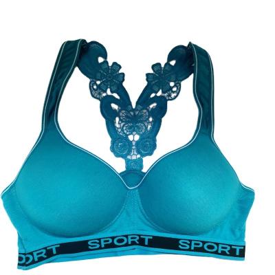 China Hot Selling Breathable Bra Model Gather Sexy Bra Lace Back Fashion Sports Bra for sale