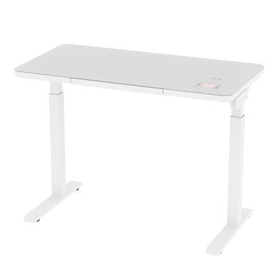 China (Height) Dual Height Adjustable Sit Stand Desk With Motor Adjustable Electric Drawer for sale