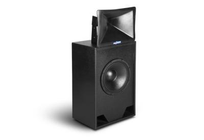 China 12 inch  passive screen system pro sound cinema speaker TC612 for sale