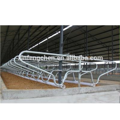 China Farms Galvanized Dairy Cow Farm Equipment Cow Free Stall for sale