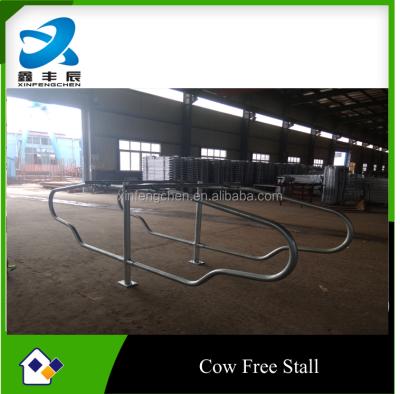 China Cattle Hot Dip Galvanized Free Cow Stall Livestock Freestall Cow Cubicles for sale