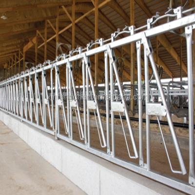 China Farms Factory Price Galvanized Cattle / Cow Farm Equipment For Force Collar for sale