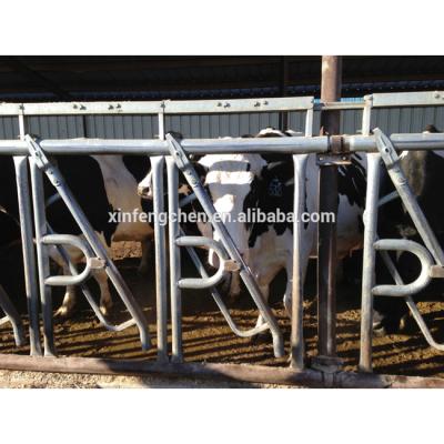 China High quality and factory price cattle force collar from farms for sale for sale