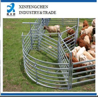 China Cattle Galvanized Livestock Farm Equipment--- Cattle/Sheep/Horse Yard Board for sale