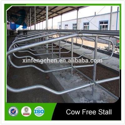 China Pig cow farm equipment free stalls loops, cow freestalls for sale