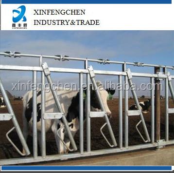 China Agriculture of cow factory supply direct cattle strength collar for sale for sale