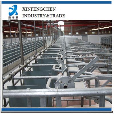 China Hot-dipped pig galvanized steel pipe pig cages for sale