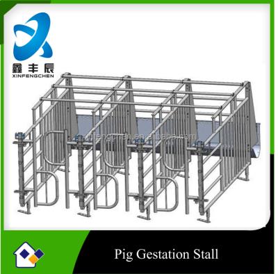 China Pig Galvanized Pig Farm Equipment --- Gestation Stall For Pig for sale