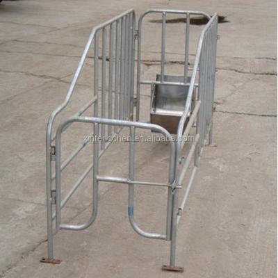 China Farms Galvanized Pipe Pig Gestation Stalls, Pig Farm Equipment for sale