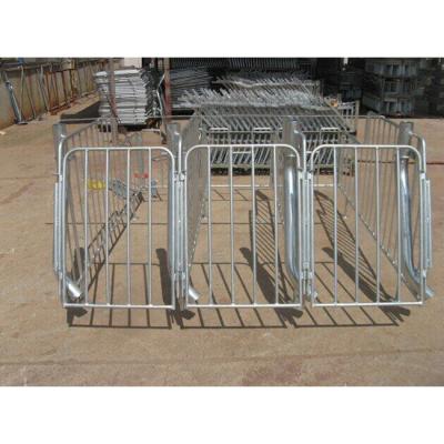 China Full Breeds Hot Dipped Galvanized Pig Breeding Gestation Limiting Pen/Crate/Stall For Sale for sale