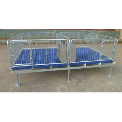 China China factory supply durable piglet cattle weaning stall with good quality and low price for sale