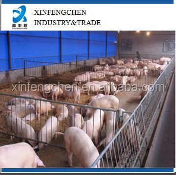 China Pig Pig Farm Equipment , Pig Fatten Crate for sale