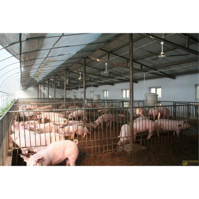 China Durable Top Selling Sow Fatten Strong Crate Pig Farm Equipment for sale