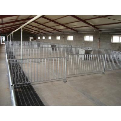 China Durable cheap price pig seeds weaners fatteners cage farming made in china for sale