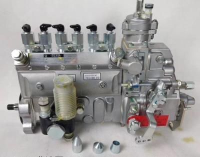 China 6738-71-1110 Dieselpumpe des Motorkraftstoff-6D102 zu verkaufen