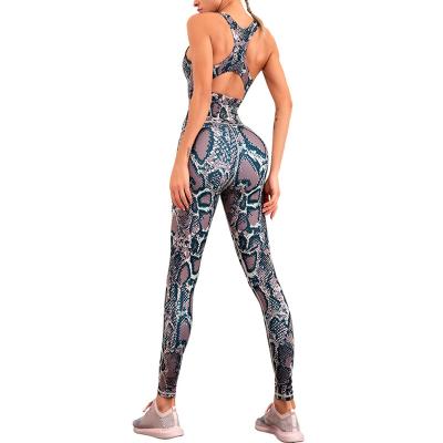 China 2021 Autumn Women's Ladies Yoga Casual Suit Sports Skinny Seamless Women's Breathable Yoga Suit for sale