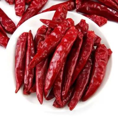 China Sichuan province of Chile China dried chillies 500g per bag for sale