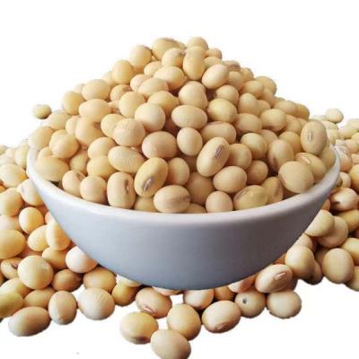 China Chinese soybean dried product quality 500g per bag for sale